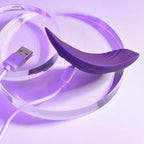 Playboy Pleasure OUR LITTLE SECRET USB Rechargeable Panty Vibrator With Wireless Remote Control Playboy Pleasure