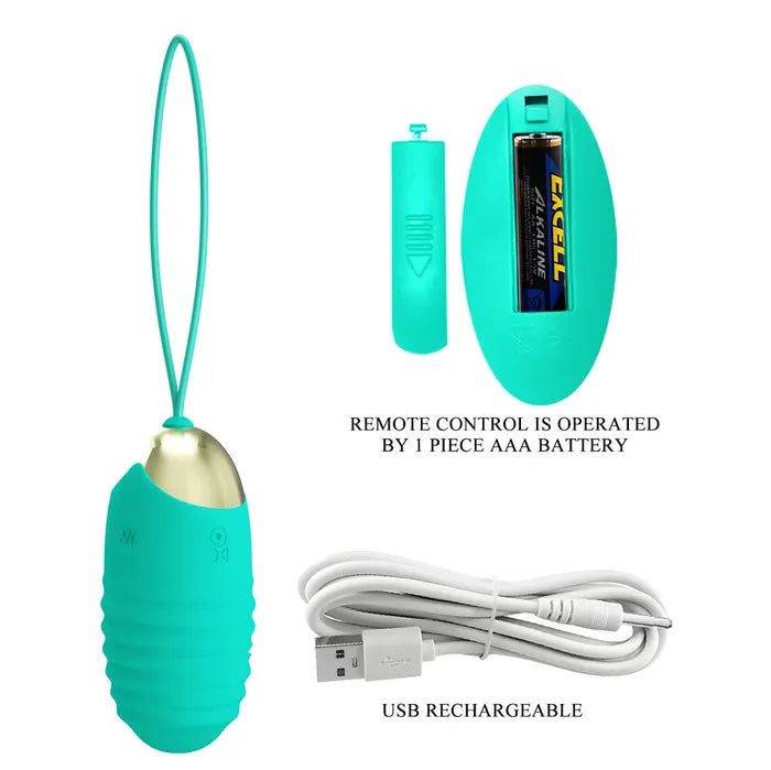Party Up IAN USB Rechargeable Vibrating Egg Vibrator With Wireless Remote Party Up