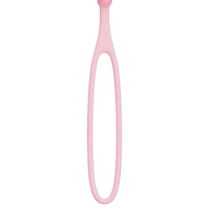 Adam & Eve PILLOW TALK EGG USB Rechargeable Vibrating Egg Vibrator With Wireless Remote Control