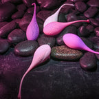 Evolved TIGHT & DELIGHT Kegel Trainer Set 5 Piece Kit Evolved