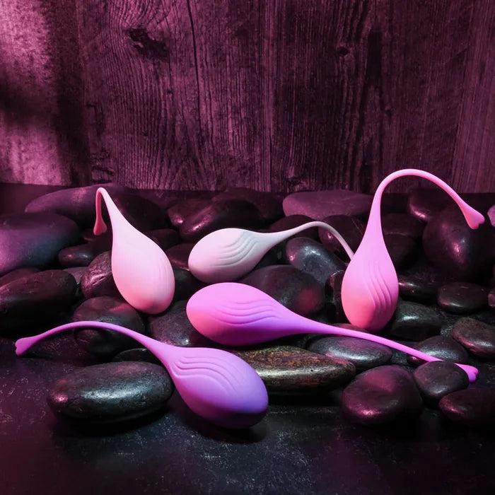 Evolved TIGHT & DELIGHT Kegel Trainer Set 5 Piece Kit Evolved