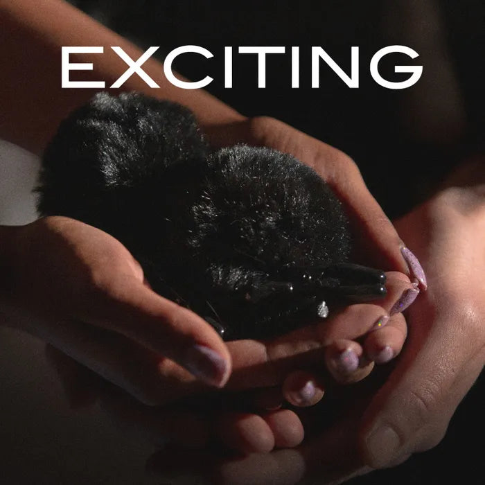 Blush Novelties Noir Pom Adjustable Furry Nipple Clamps